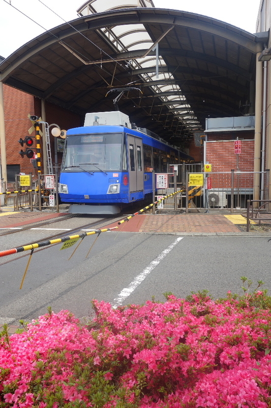 イメージ 6