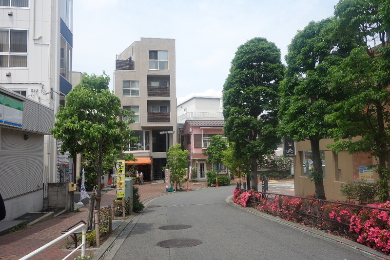 イメージ 8