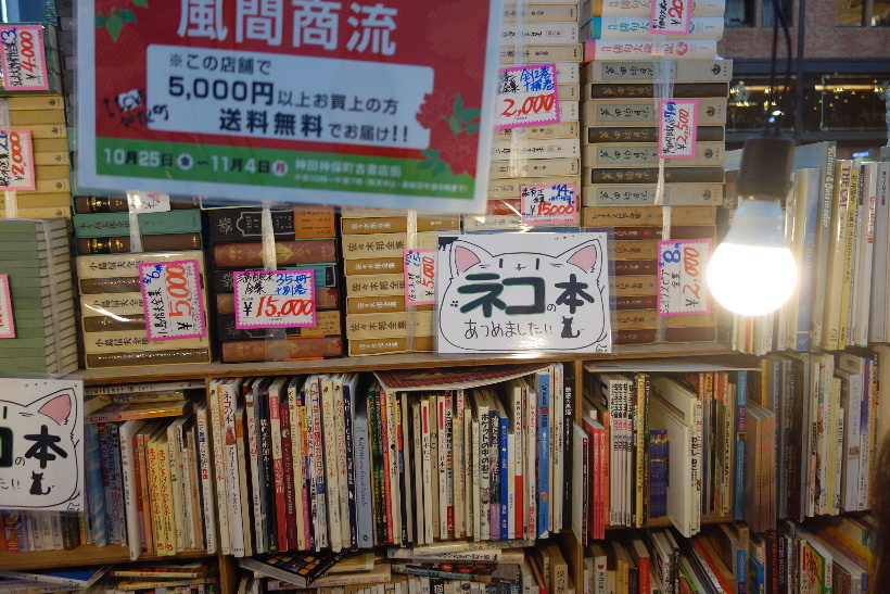 f:id:arashi_golf:20191026221010j:plain f:id:arashi_golf:20191026221010j:plain