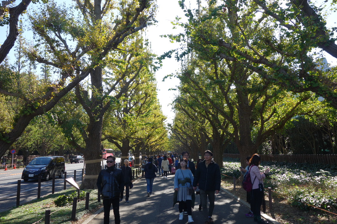 f:id:arashi_golf:20191116142315j:plain