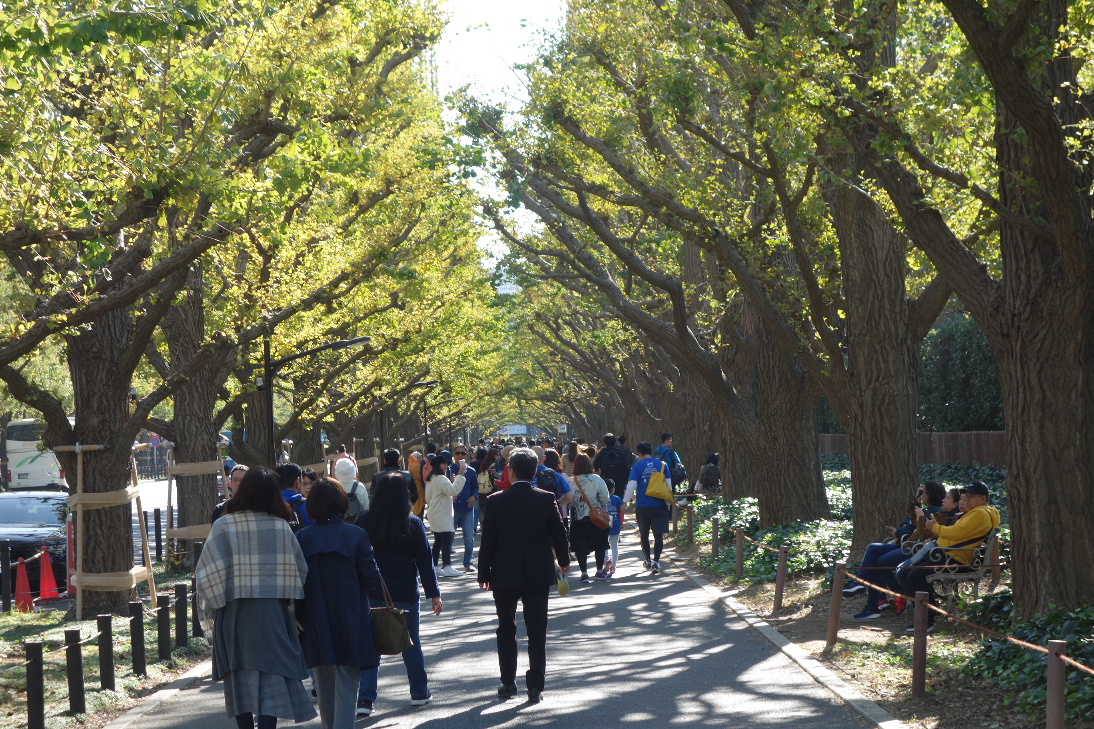 f:id:arashi_golf:20191116142435j:plain