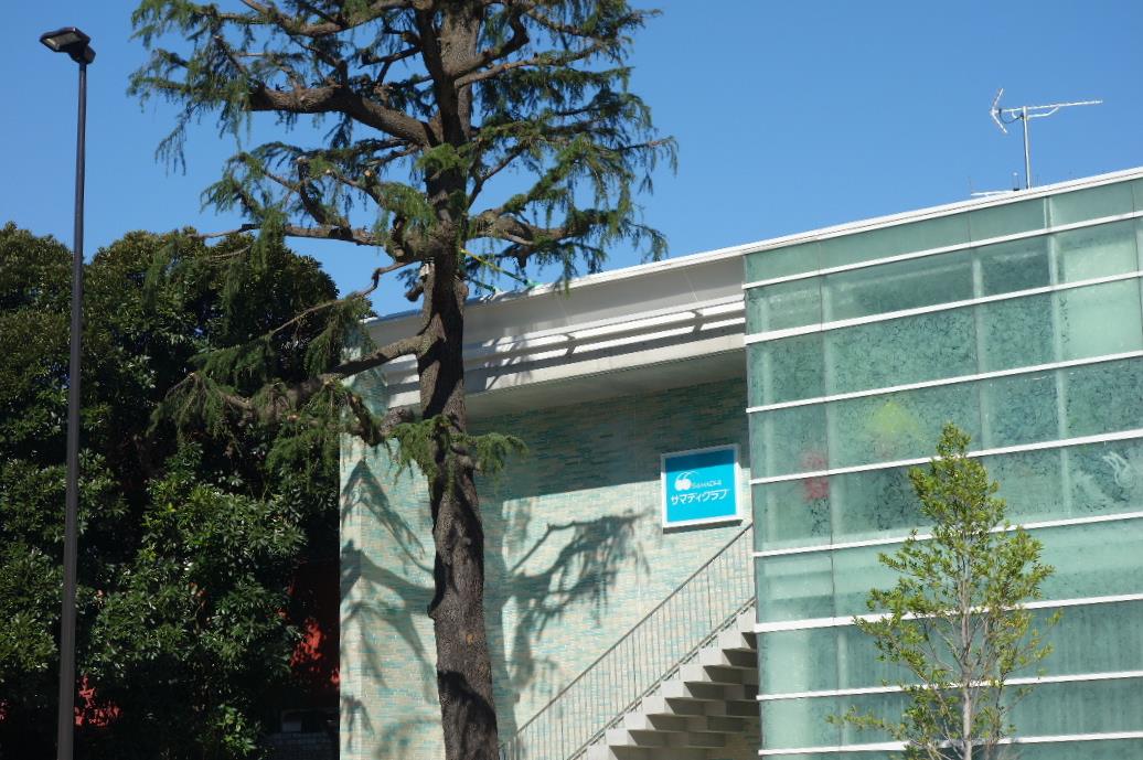 f:id:arashi_golf:20191116205341j:plain f:id:arashi_golf:20191116205341j:plain