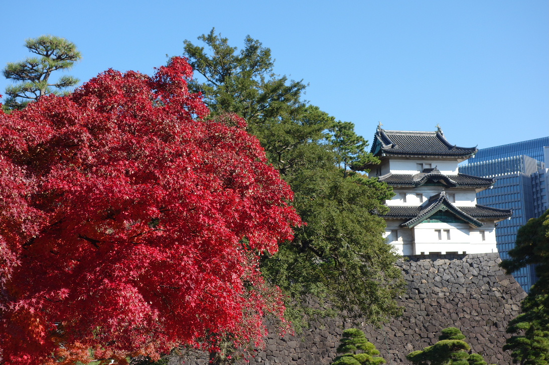 f:id:arashi_golf:20191210232656j:plain f:id:arashi_golf:20191210232656j:plain