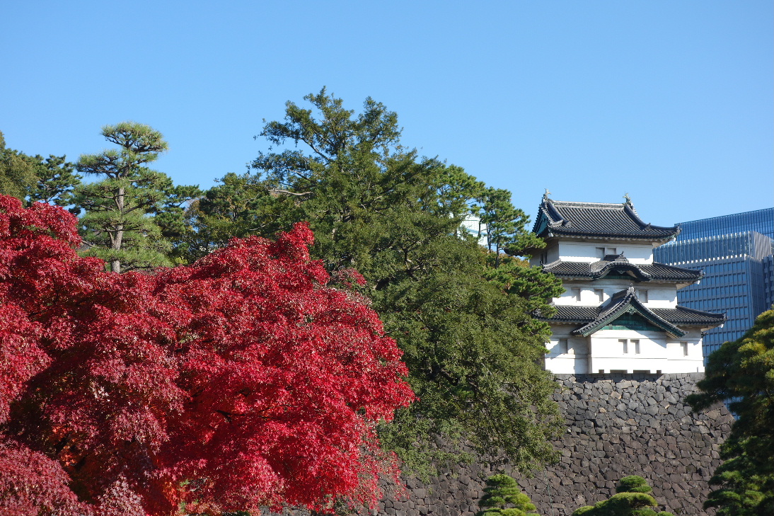 f:id:arashi_golf:20191210233235j:plain f:id:arashi_golf:20191210233235j:plain