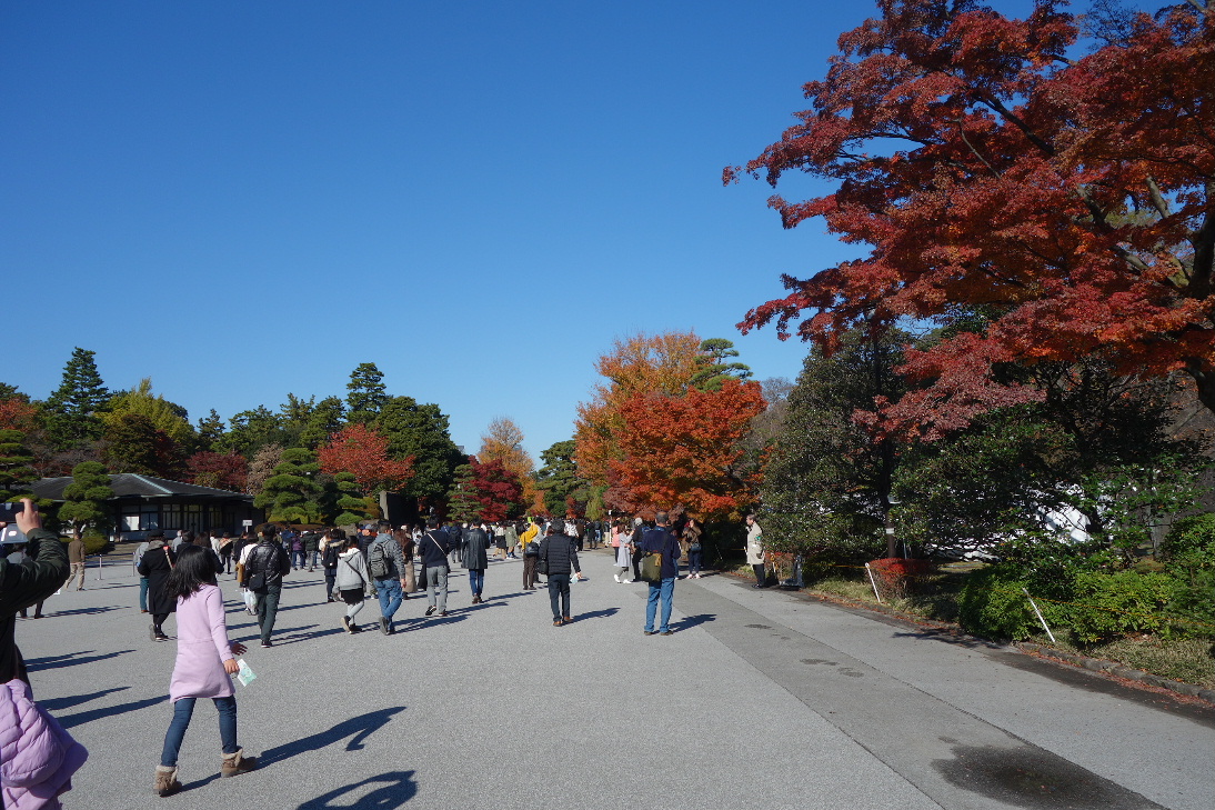 f:id:arashi_golf:20191211223630j:plain