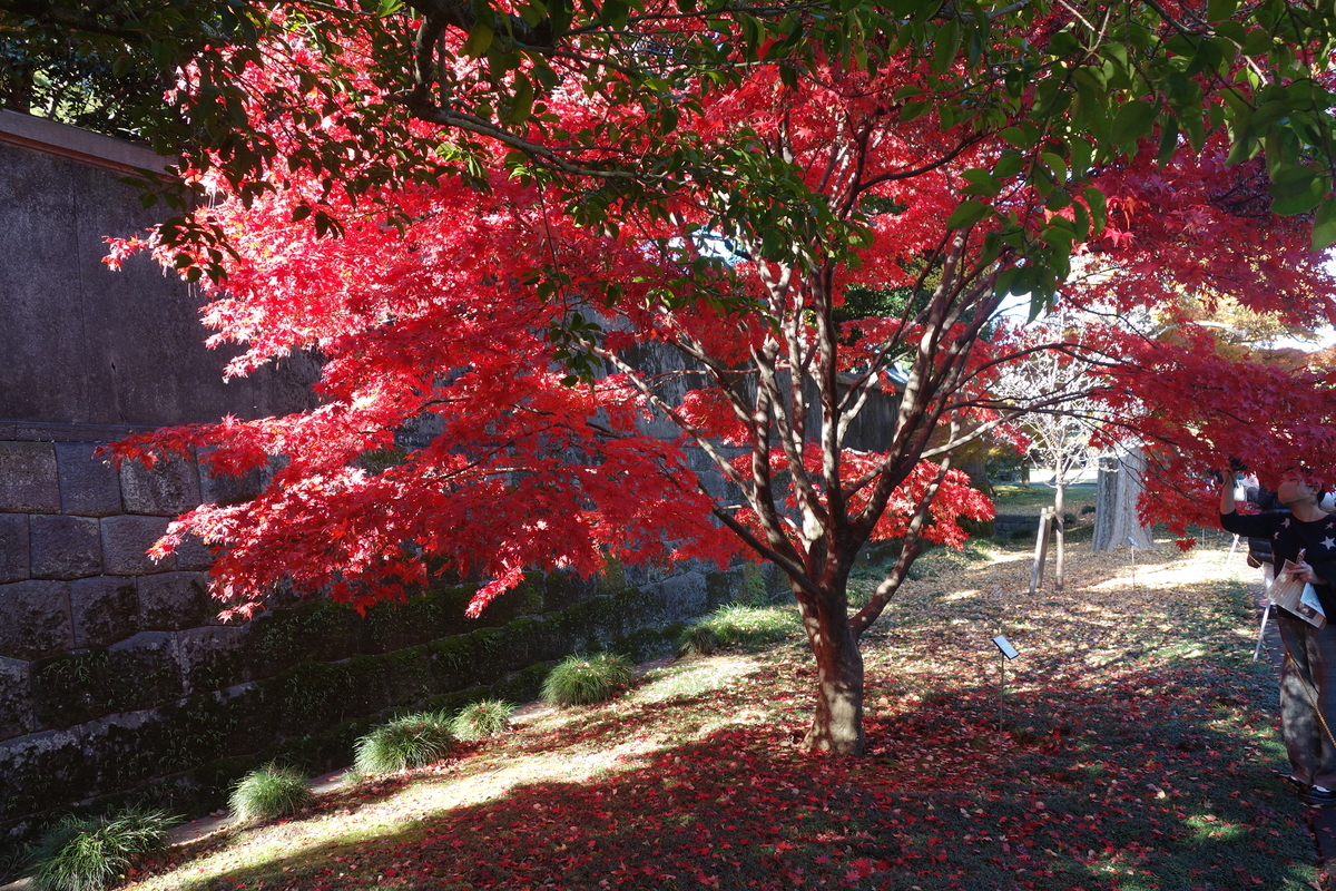 f:id:arashi_golf:20191211224655j:plain