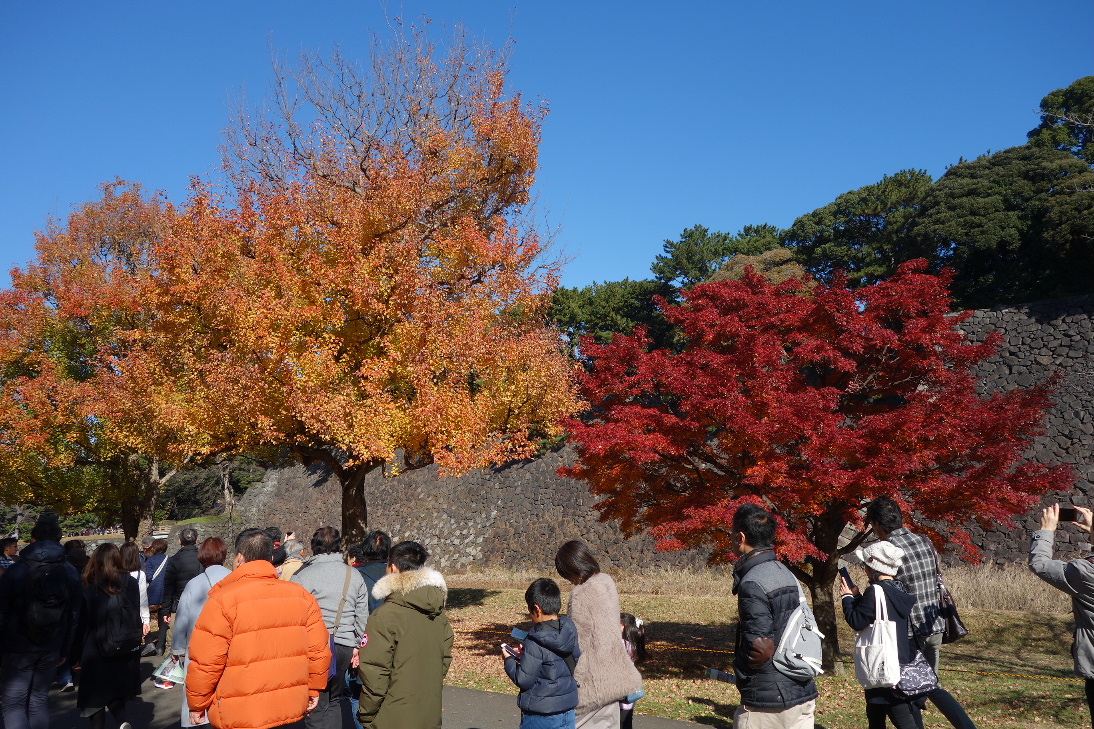 f:id:arashi_golf:20191213230922j:plain