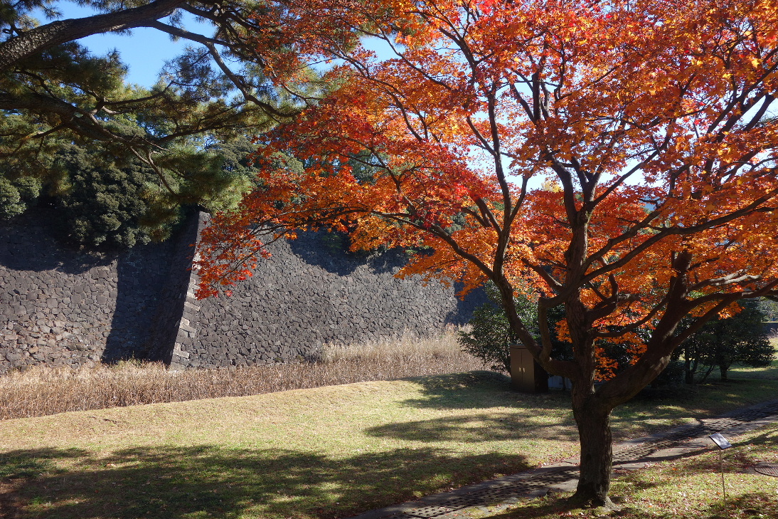 f:id:arashi_golf:20191213230956j:plain