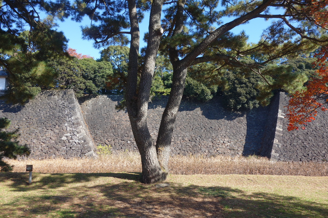 f:id:arashi_golf:20191213231015j:plain