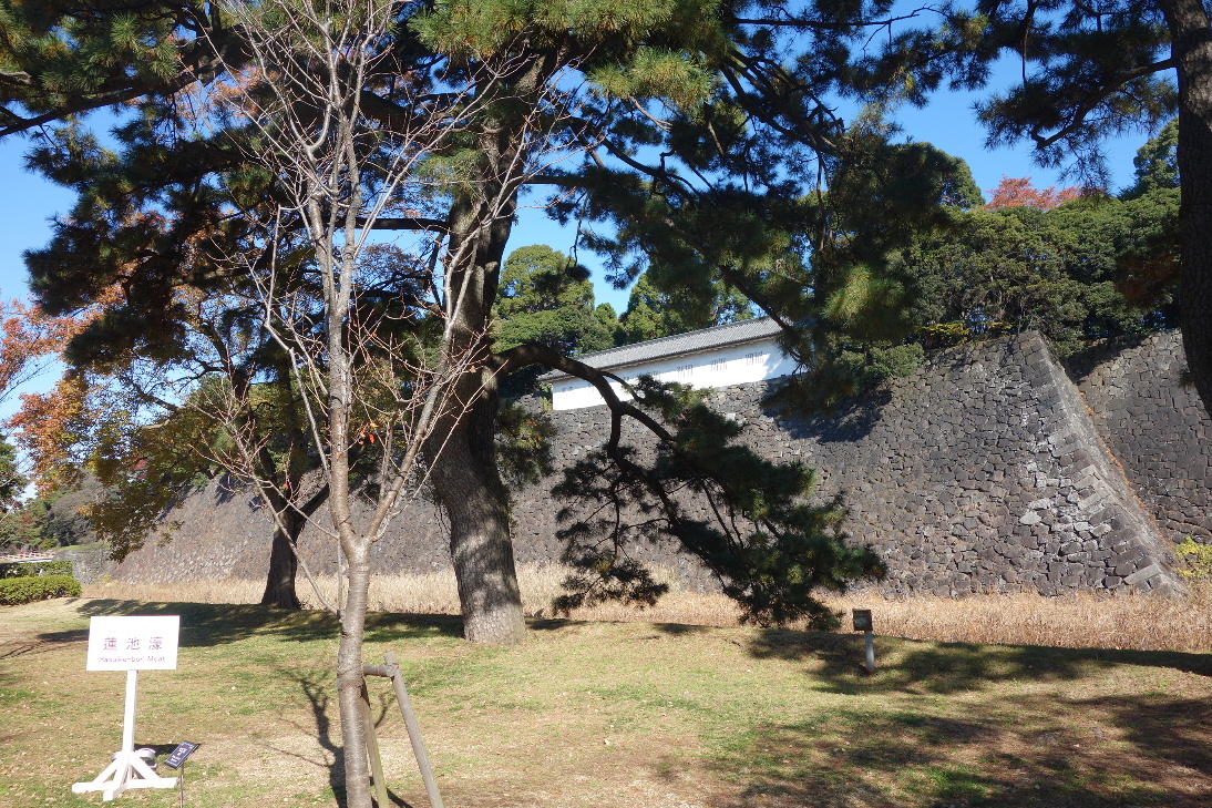 f:id:arashi_golf:20191213231031j:plain