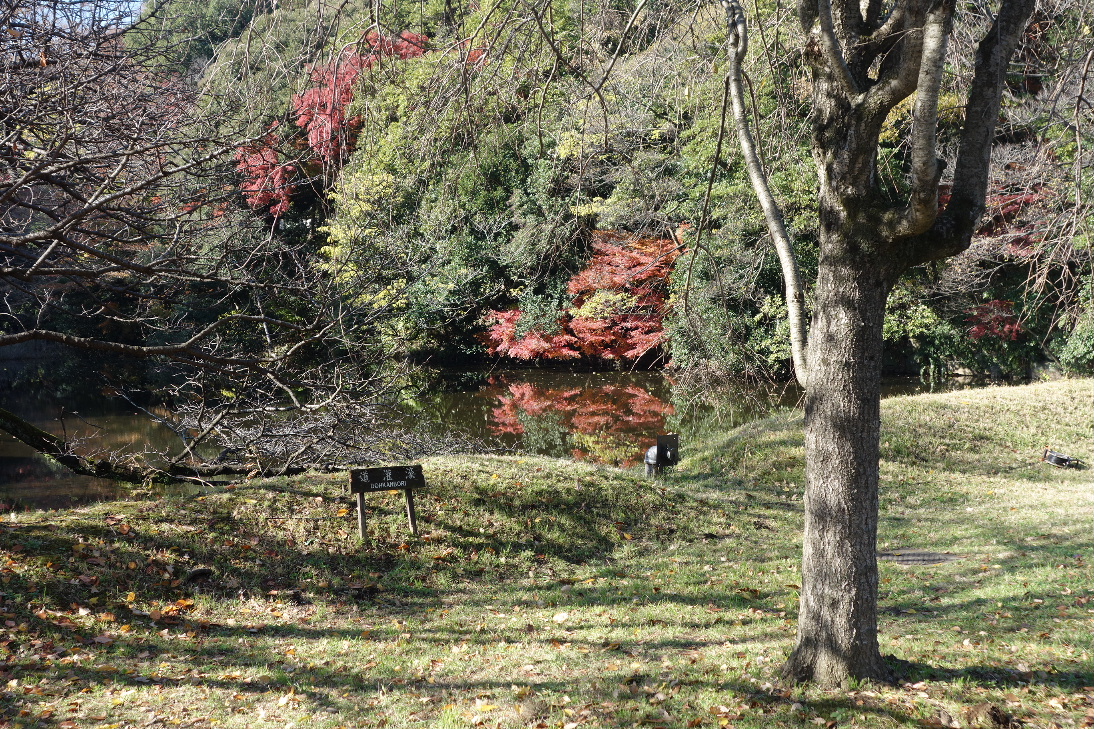f:id:arashi_golf:20191213231141j:plain