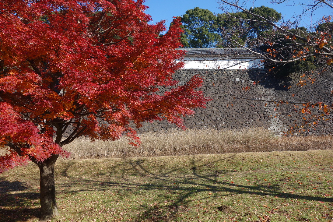f:id:arashi_golf:20191213231217j:plain