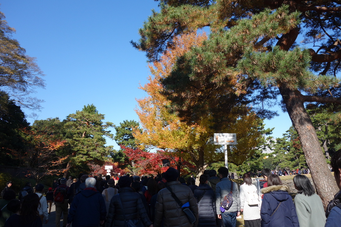 f:id:arashi_golf:20191215212923j:plain f:id:arashi_golf:20191215212923j:plain