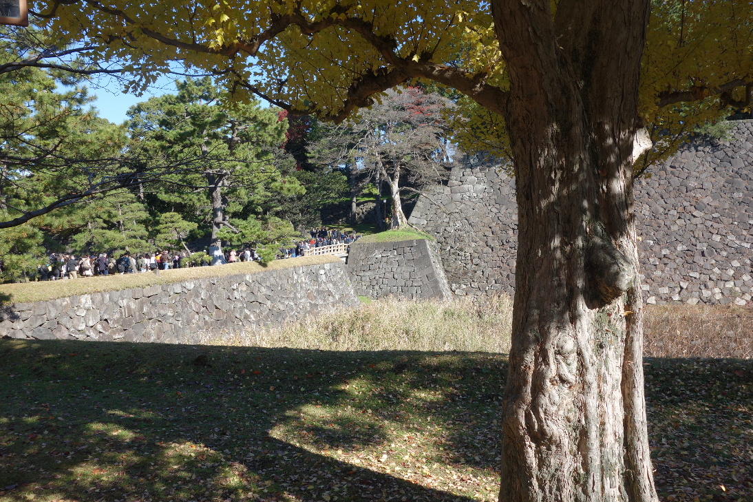 f:id:arashi_golf:20191215213042j:plain f:id:arashi_golf:20191215213042j:plain