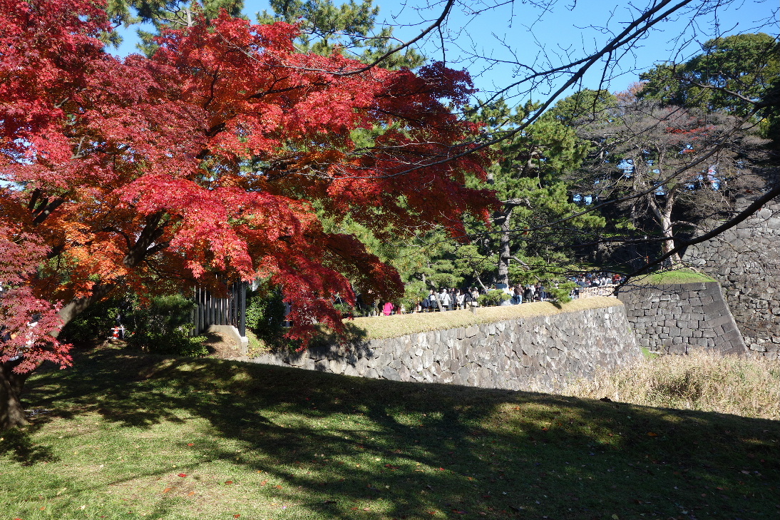 f:id:arashi_golf:20191215213122j:plain f:id:arashi_golf:20191215213122j:plain