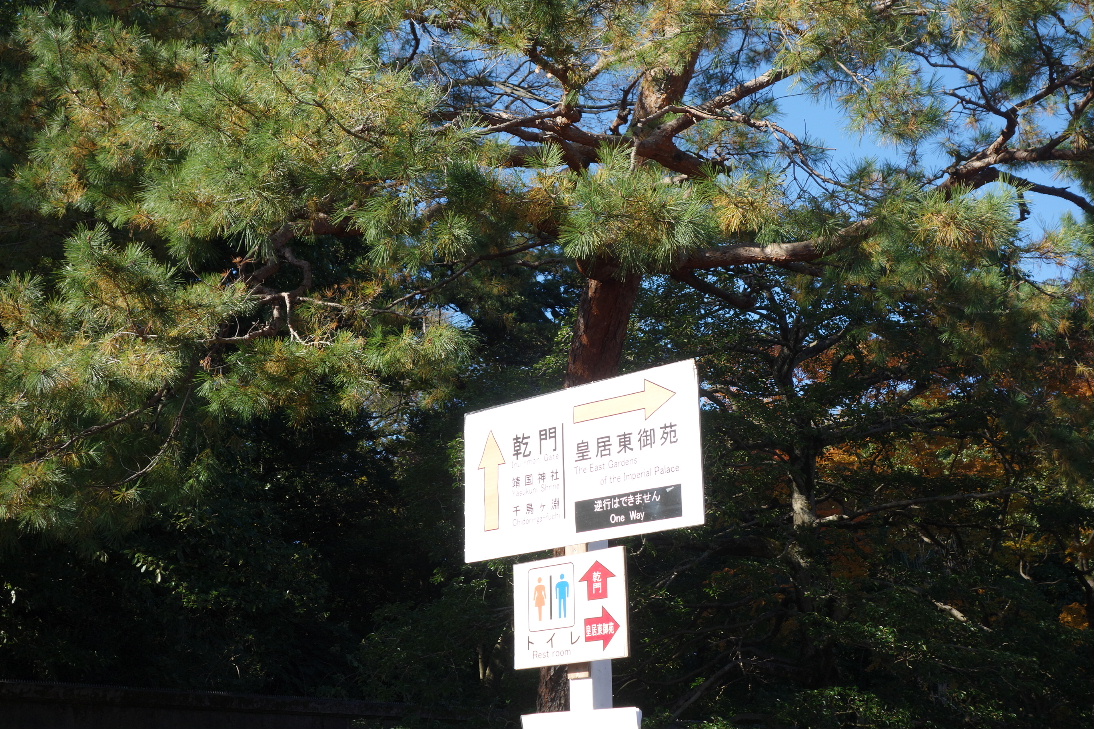 f:id:arashi_golf:20191215213137j:plain f:id:arashi_golf:20191215213137j:plain