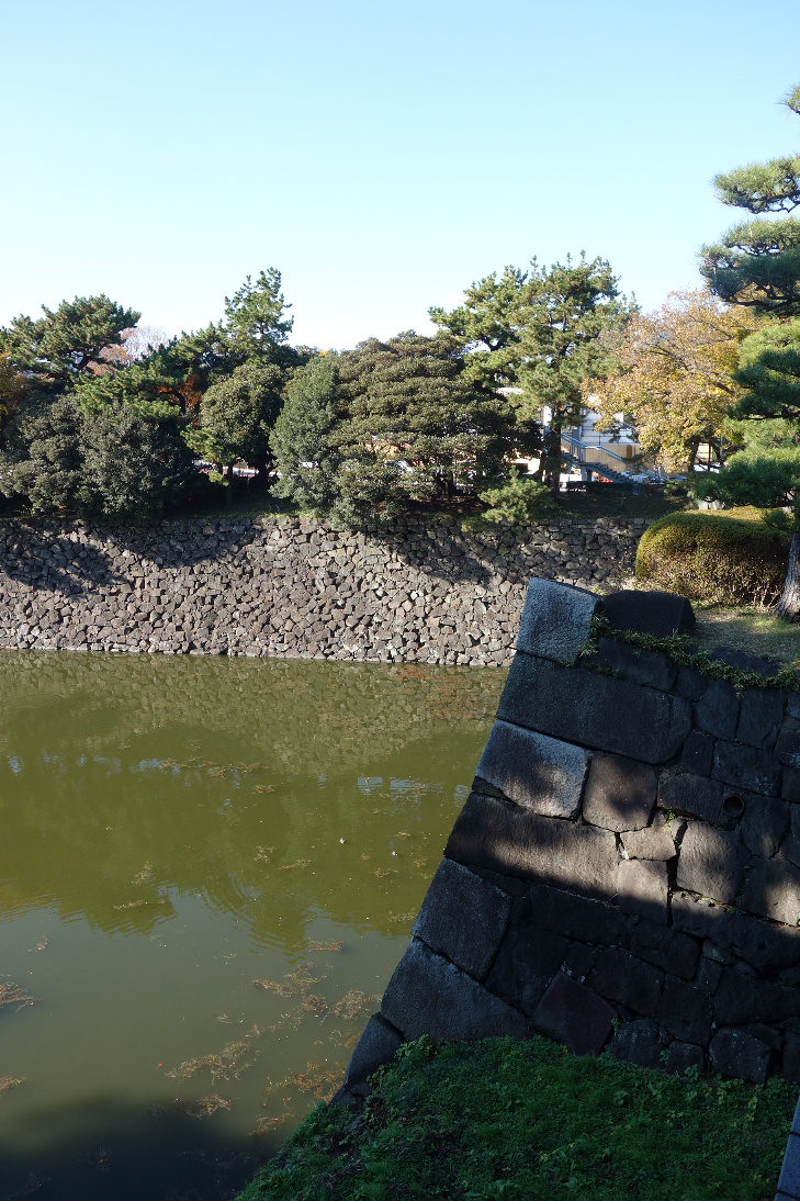f:id:arashi_golf:20191223235147j:plain