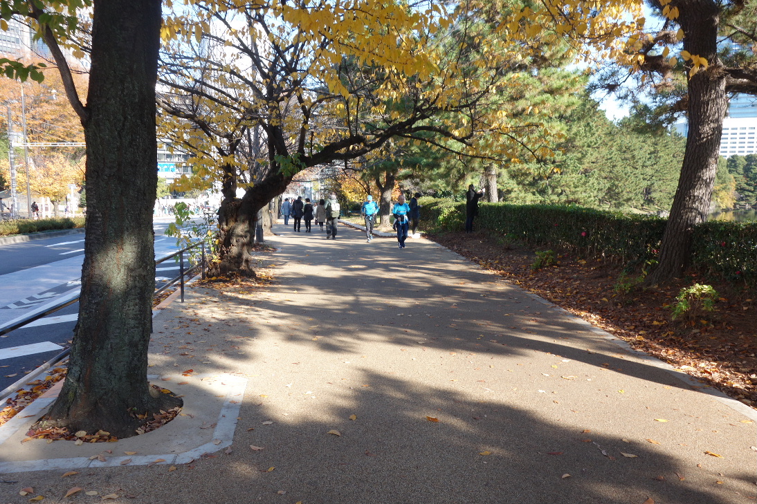 f:id:arashi_golf:20191224211414j:plain