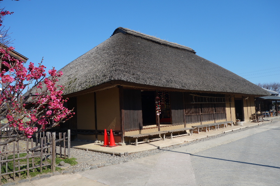 埼玉県和光市レトロ散歩『新倉ふるさと民家園』 - 嵐、ゴルフ