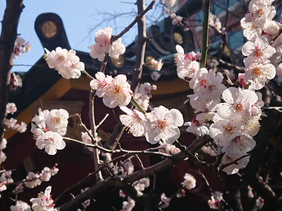 f:id:arashi_golf:20200305215332j:plain
