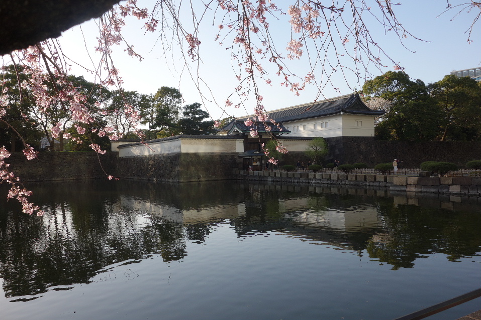 f:id:arashi_golf:20200324223255j:plain