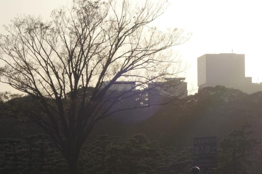 f:id:arashi_golf:20200328235249j:plain