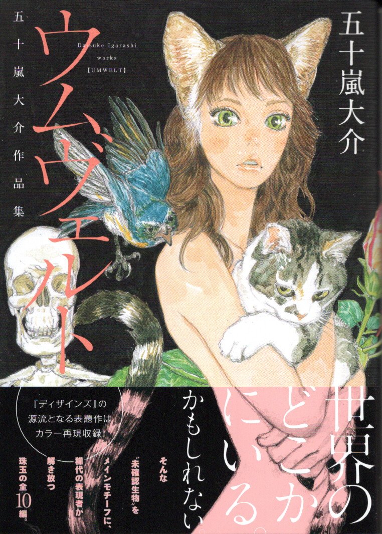 画力が凄い！！『ウムヴェルトー五十嵐大介作品集ー』五十嵐大介著