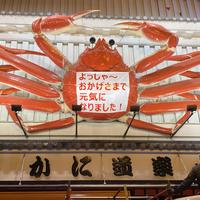 f:id:arashi_golf:20201024112901j:plain f:id:arashi_golf:20201024112901j:plain