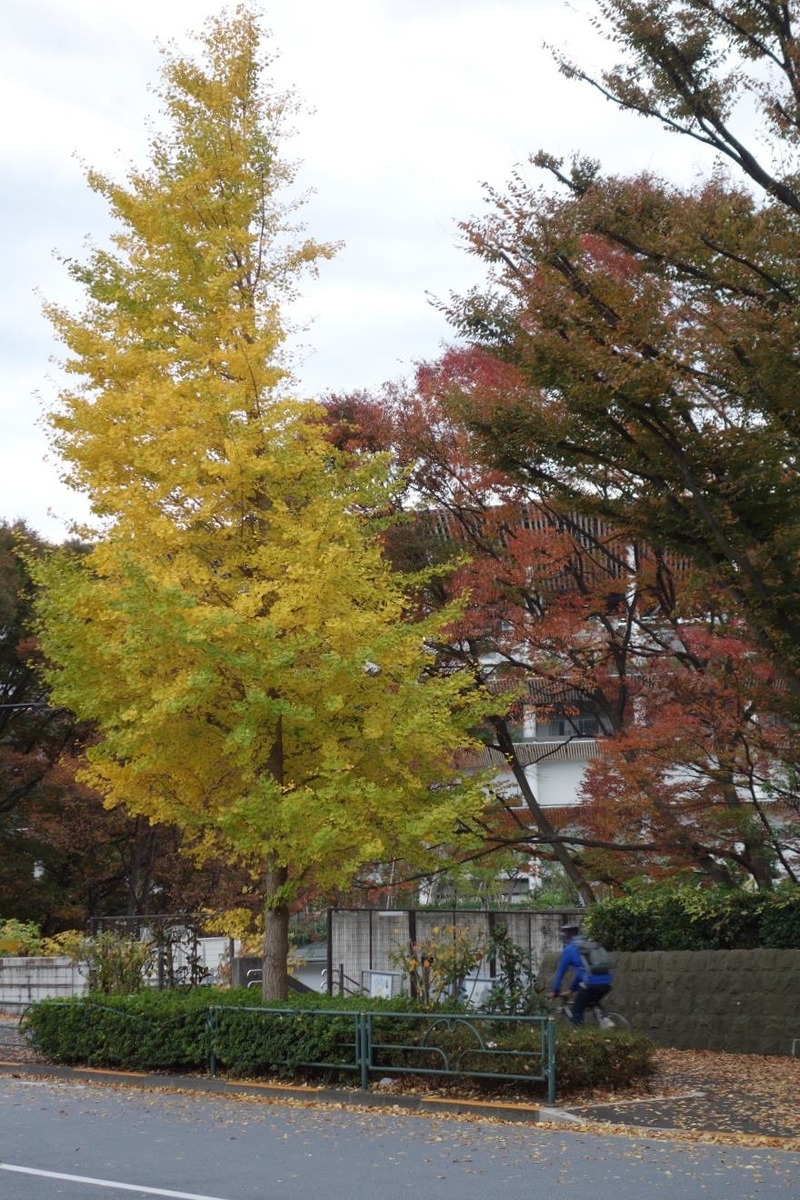 f:id:arashi_golf:20201120223139j:plain