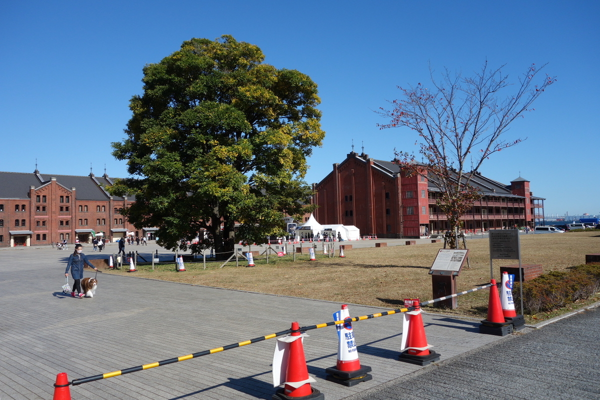 f:id:arashi_golf:20201123162031j:plain