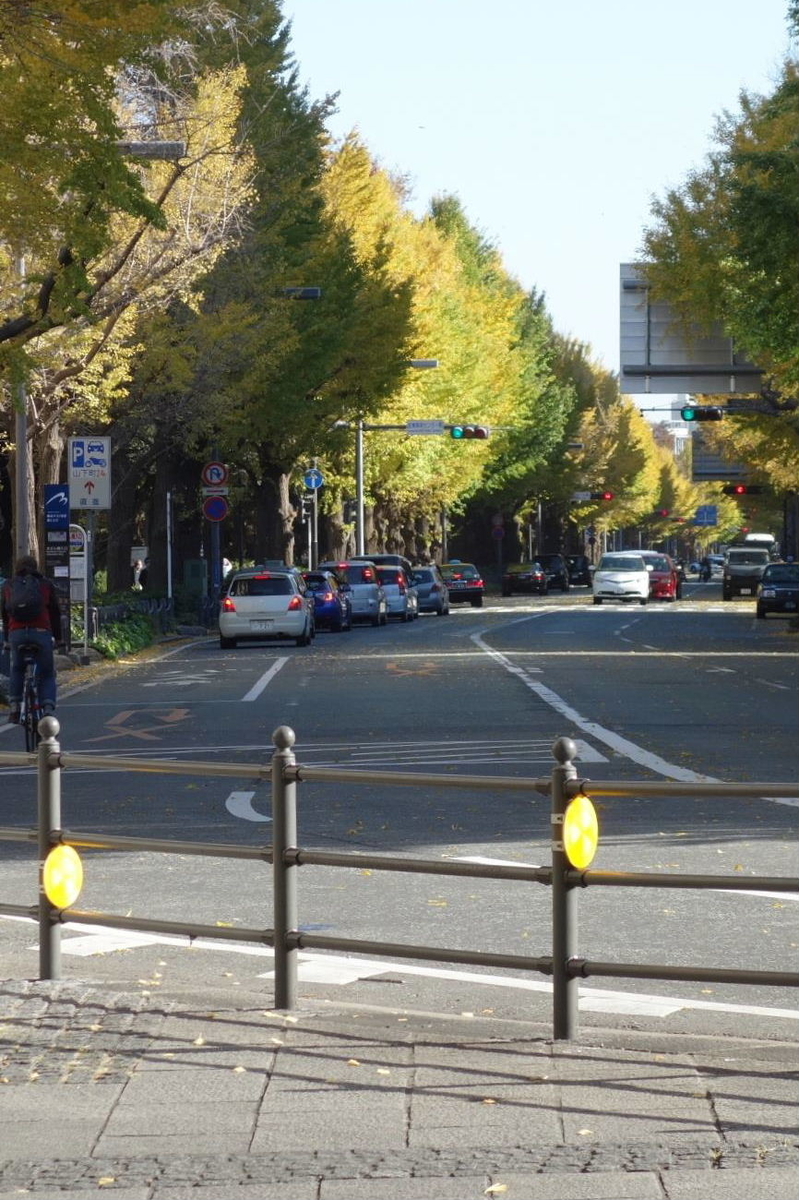 f:id:arashi_golf:20201126231012j:plain