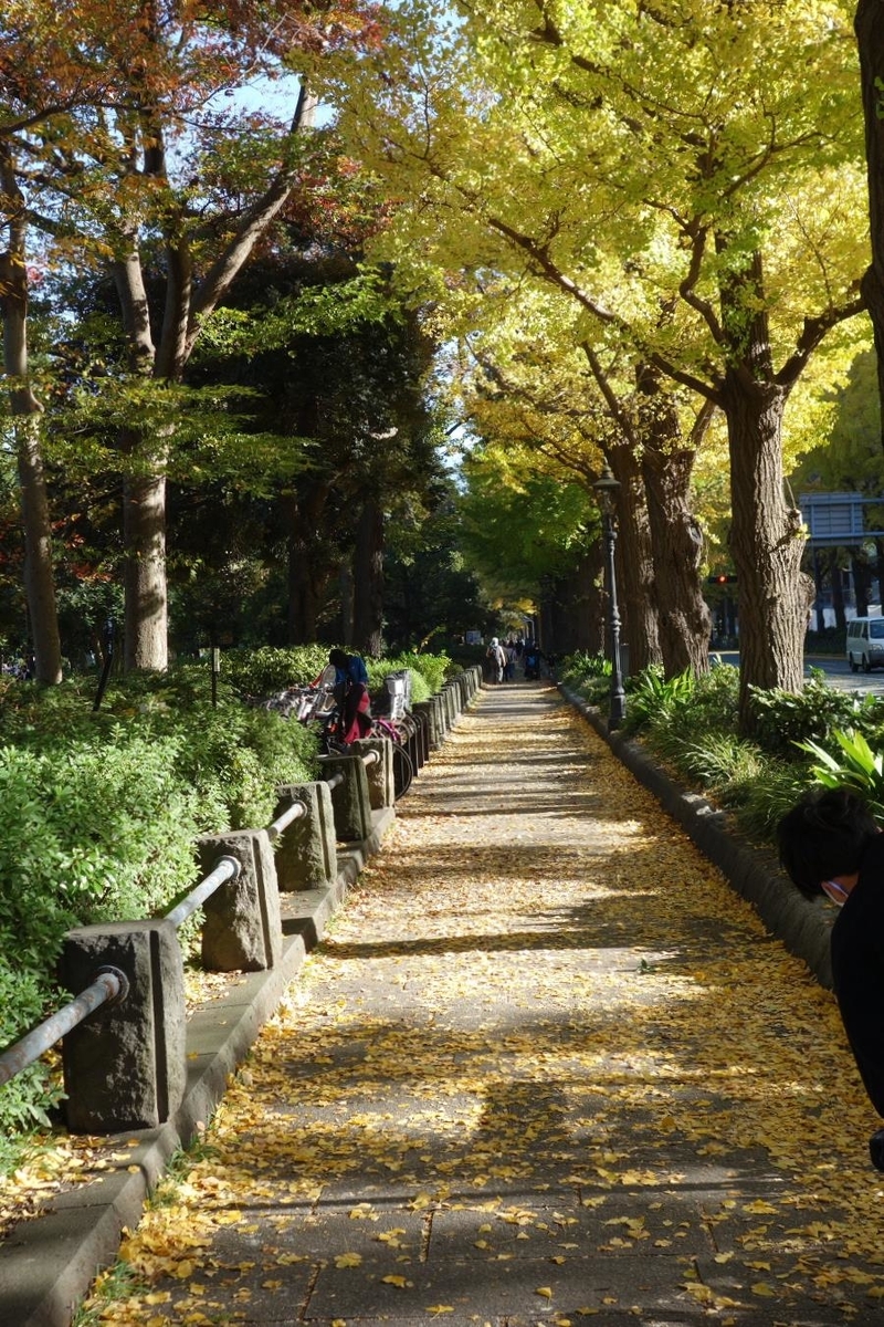 f:id:arashi_golf:20201126232343j:plain