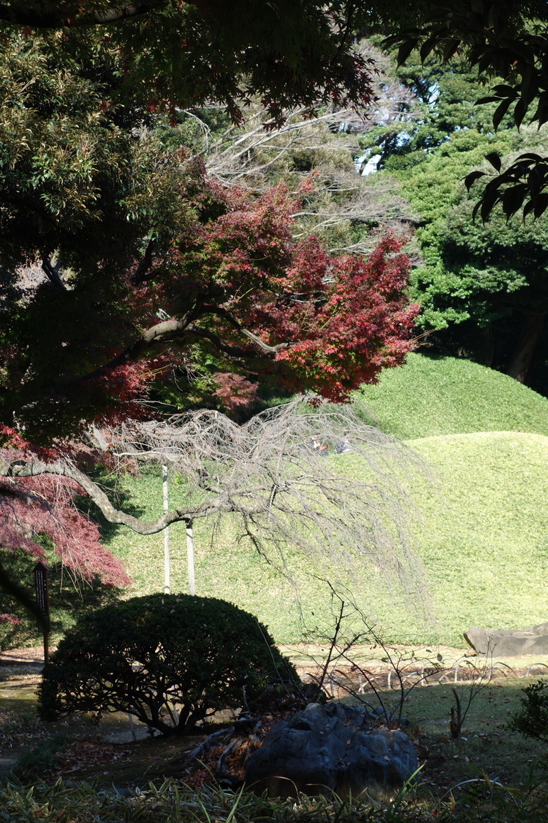 f:id:arashi_golf:20201129191518j:plain