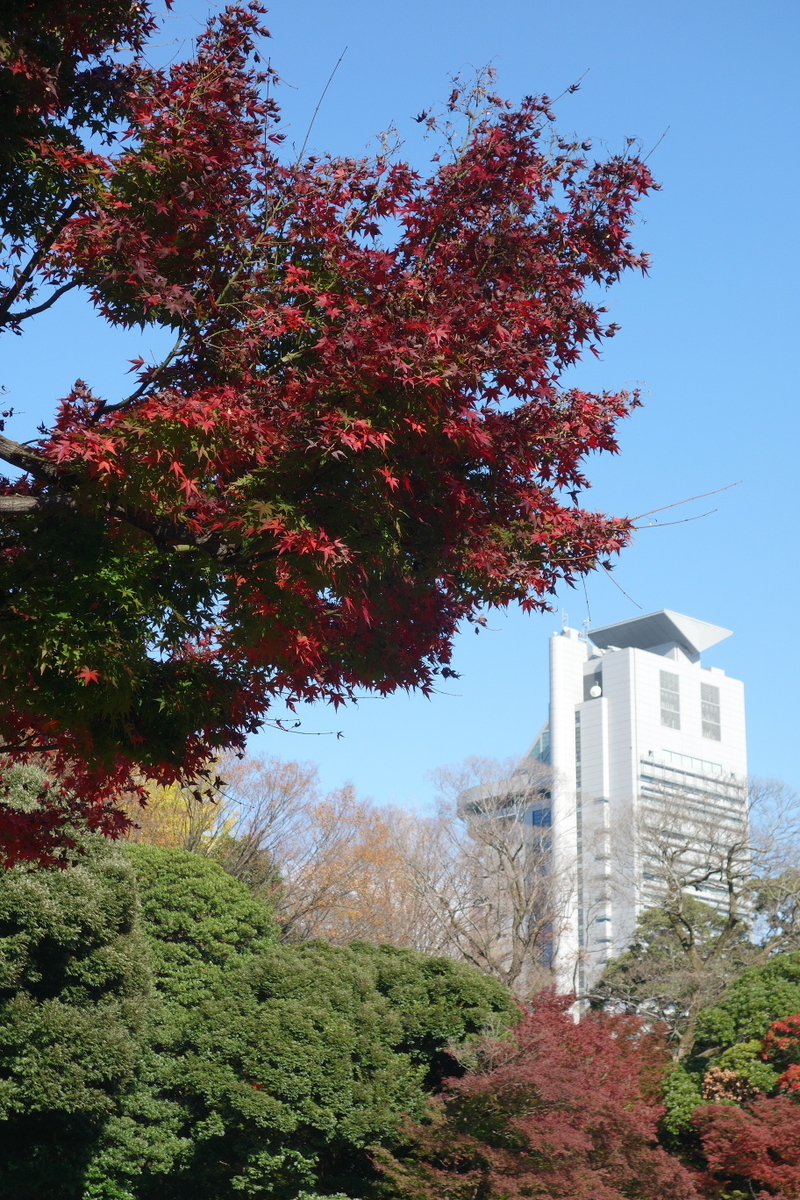 f:id:arashi_golf:20201129191700j:plain
