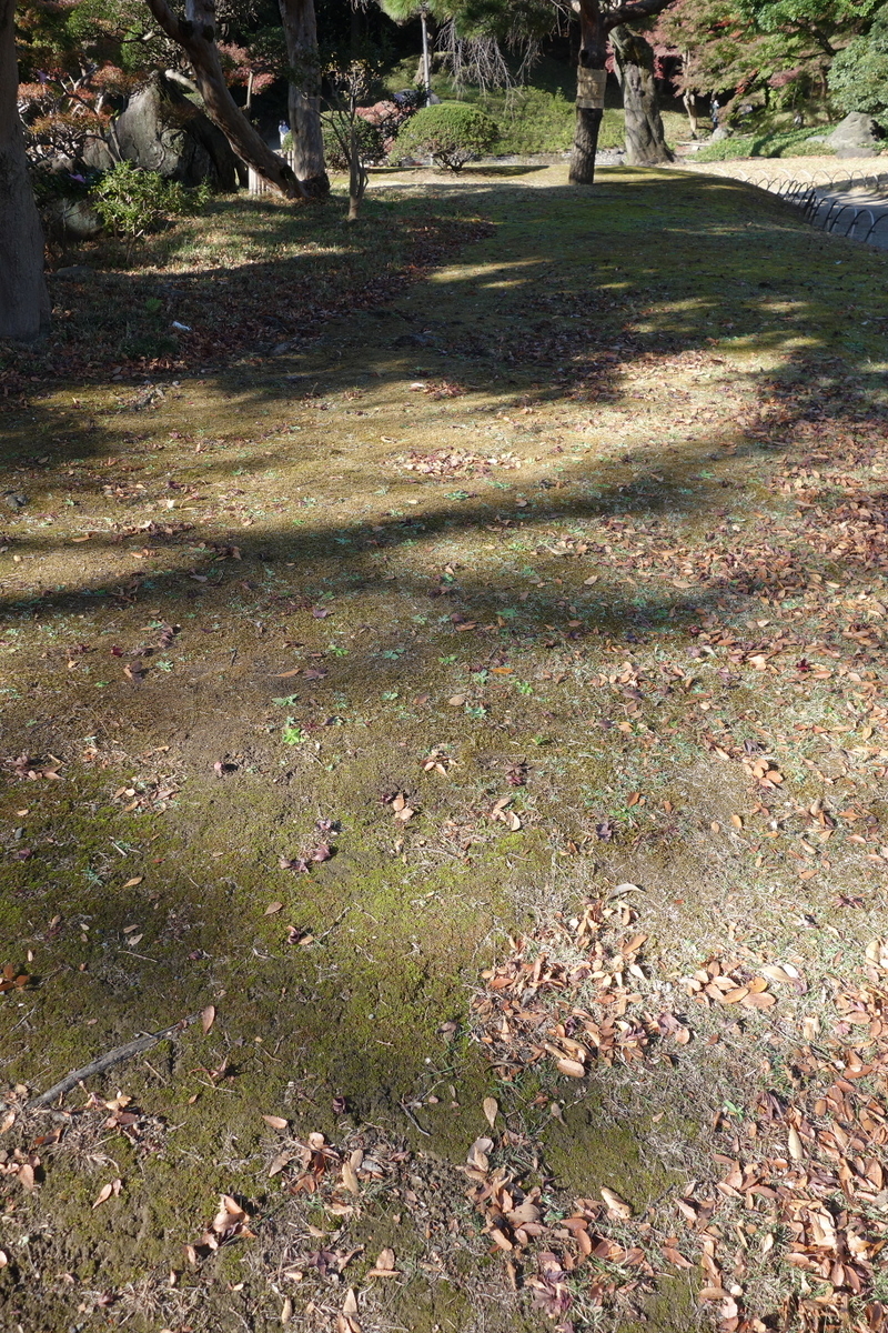 f:id:arashi_golf:20201129191928j:plain