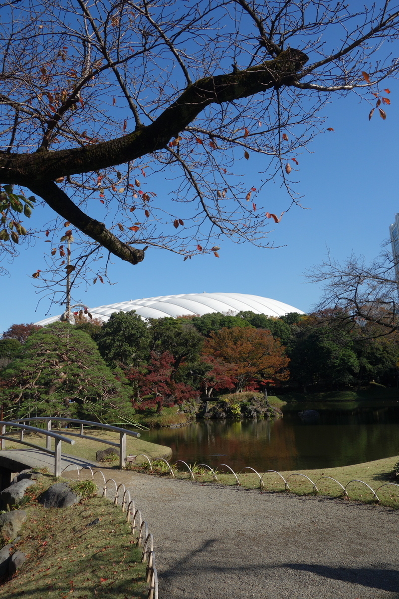 f:id:arashi_golf:20201129192303j:plain