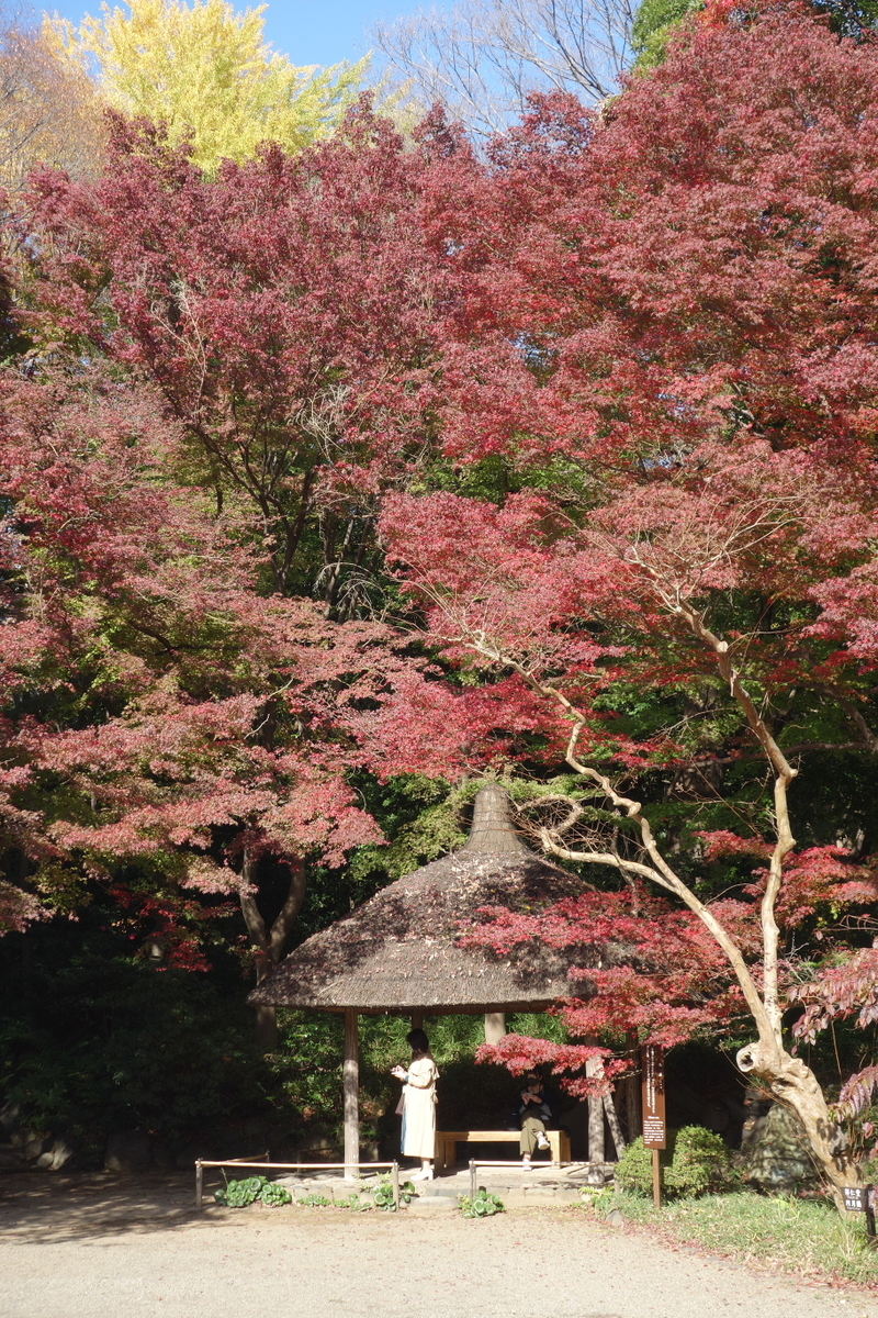 f:id:arashi_golf:20201129204513j:plain