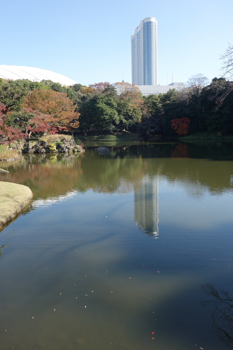 f:id:arashi_golf:20201129204613j:plain