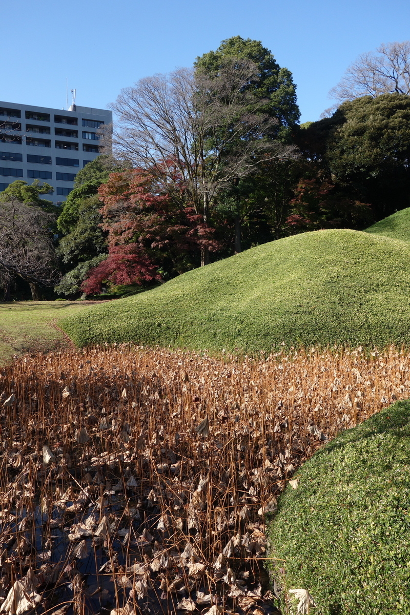 f:id:arashi_golf:20201129204648j:plain