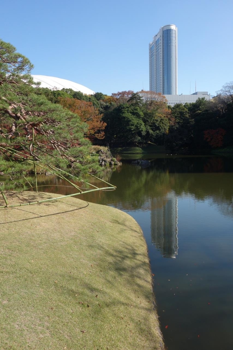 f:id:arashi_golf:20201129204839j:plain