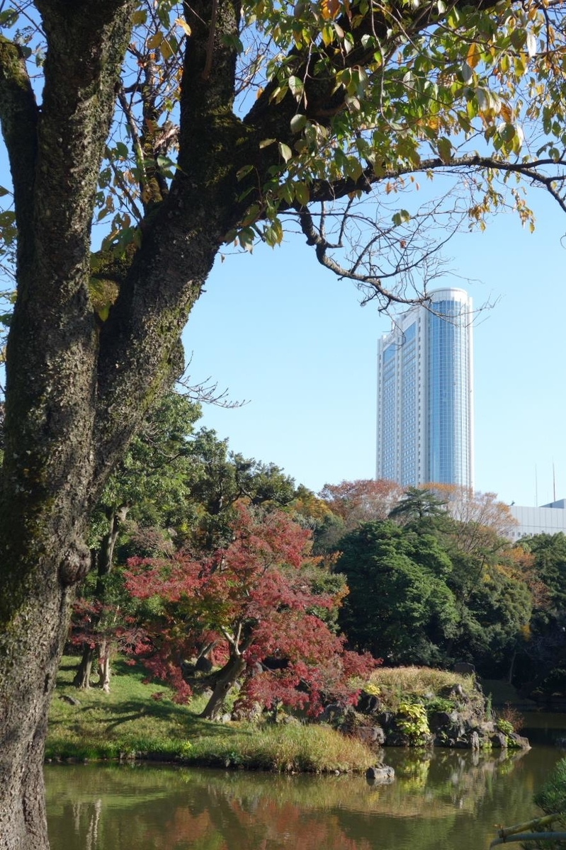 f:id:arashi_golf:20201129205118j:plain