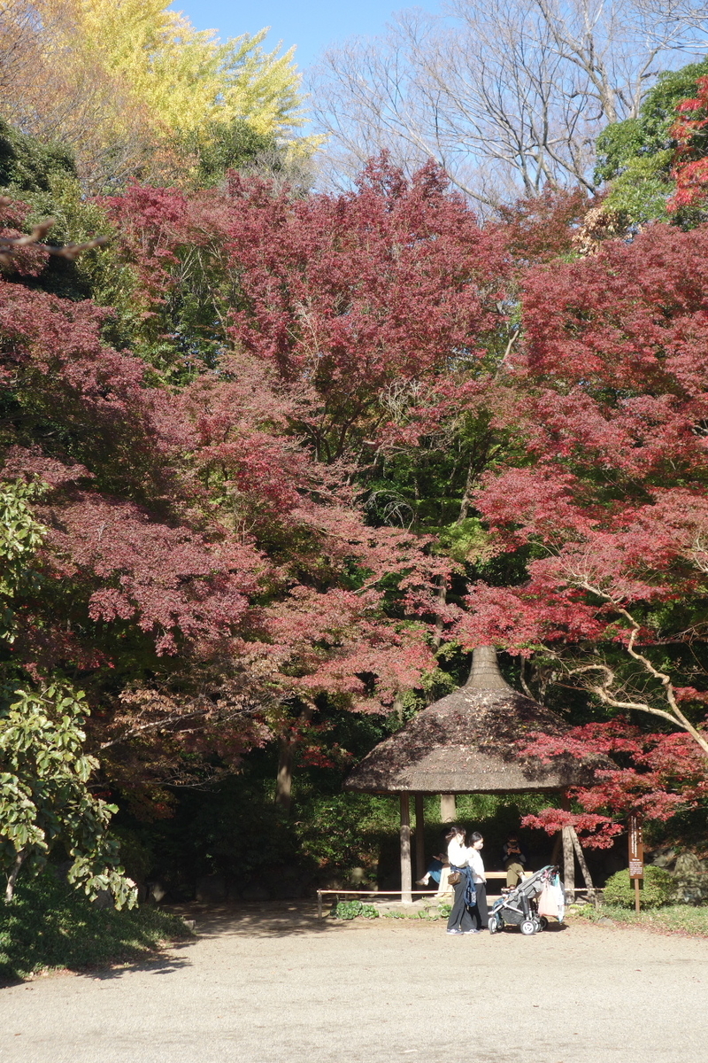 f:id:arashi_golf:20201129205341j:plain