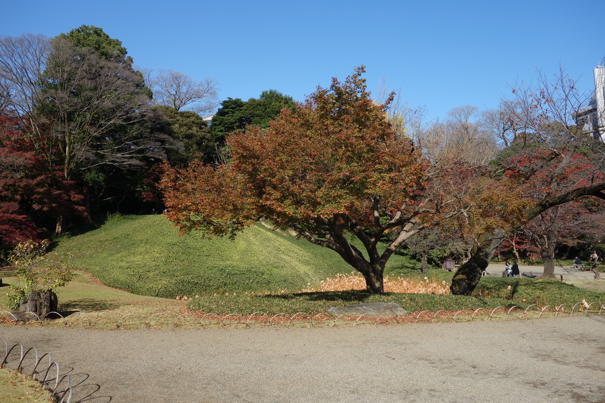 f:id:arashi_golf:20201129210530j:plain