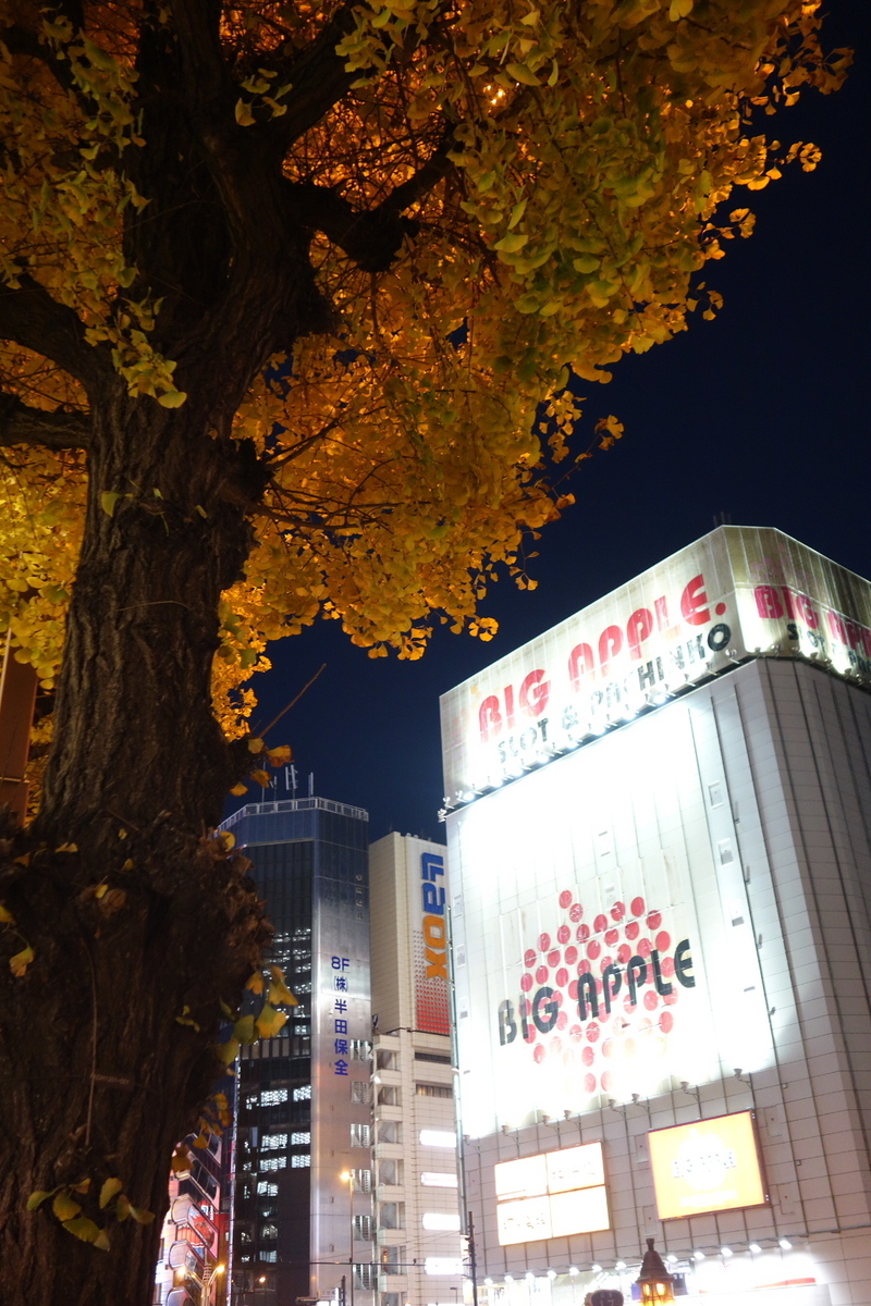 f:id:arashi_golf:20201217225702j:plain