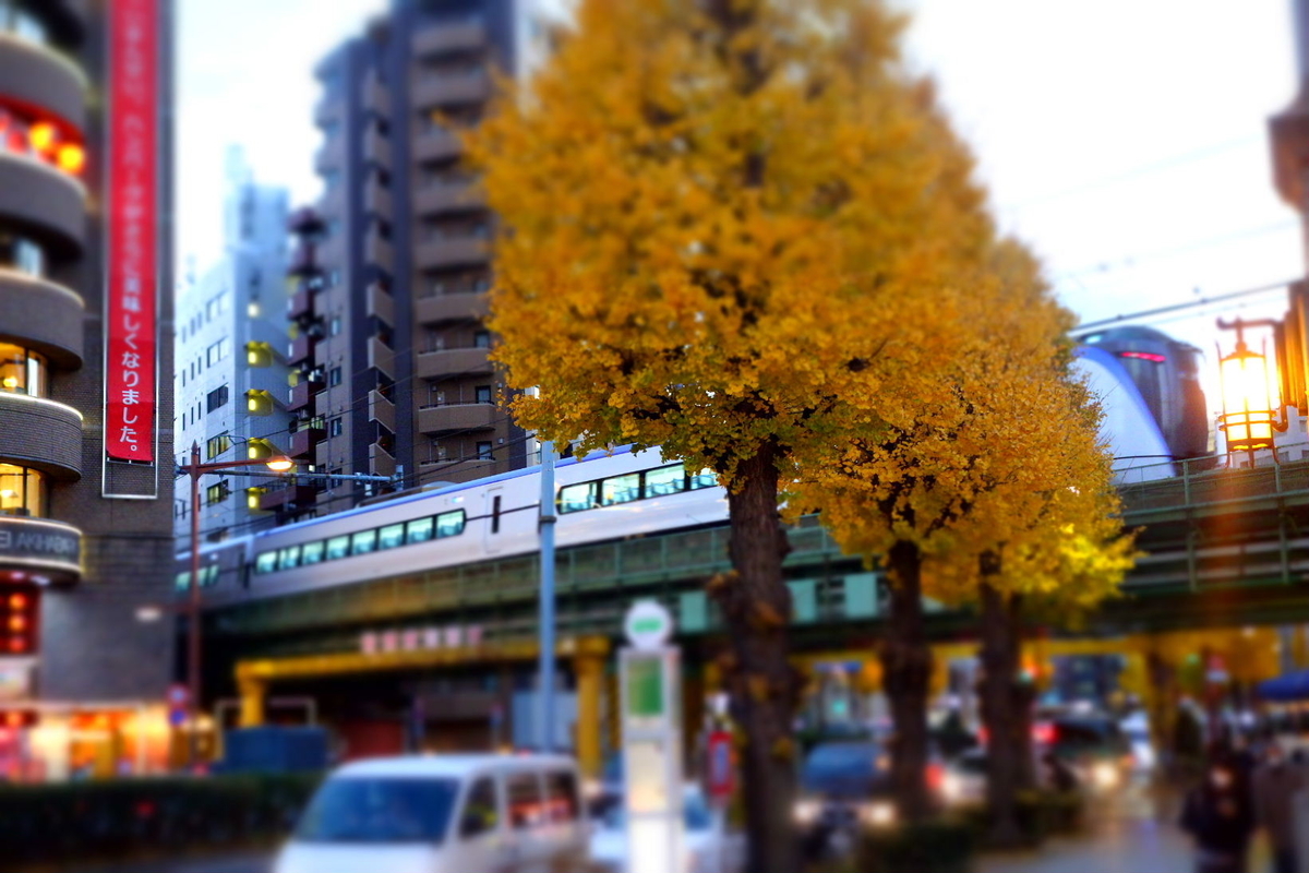 f:id:arashi_golf:20201219144825j:plain