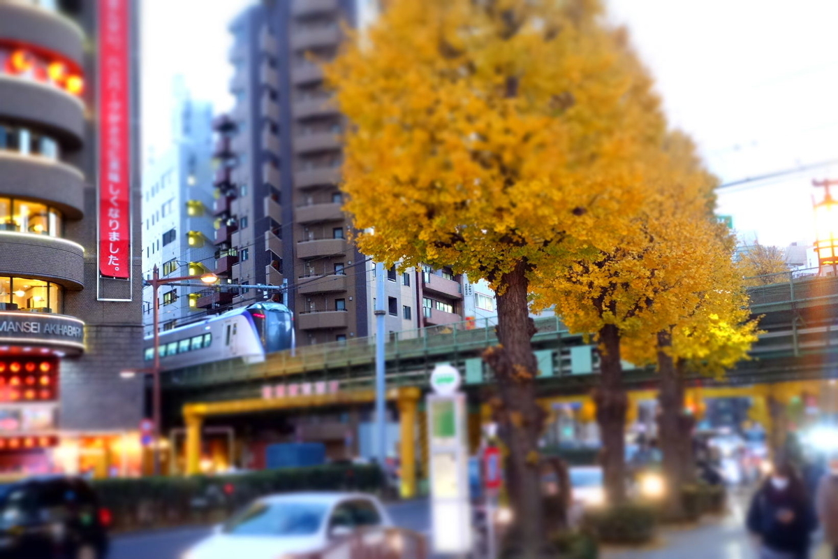 f:id:arashi_golf:20201219144916j:plain
