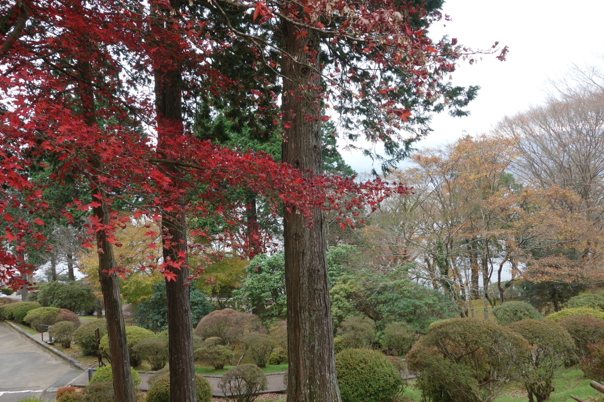 f:id:arashi_golf:20210103230530j:plain
