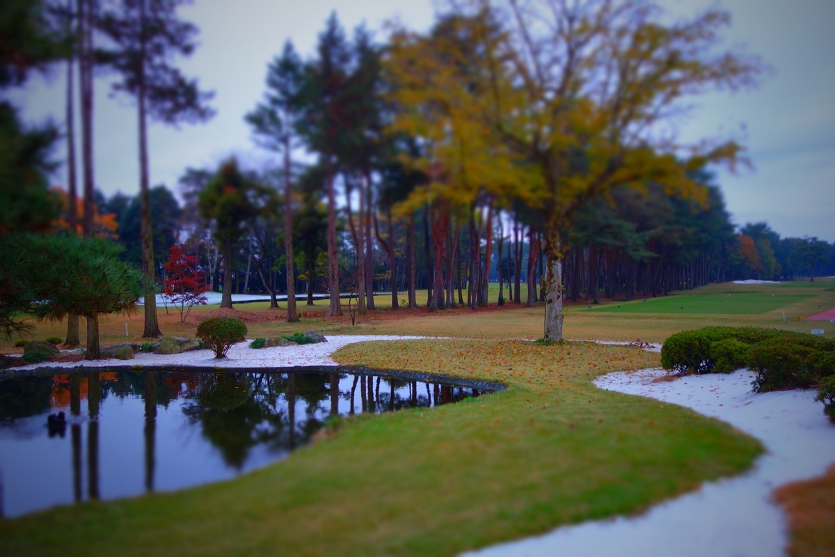 f:id:arashi_golf:20210209213547j:plain