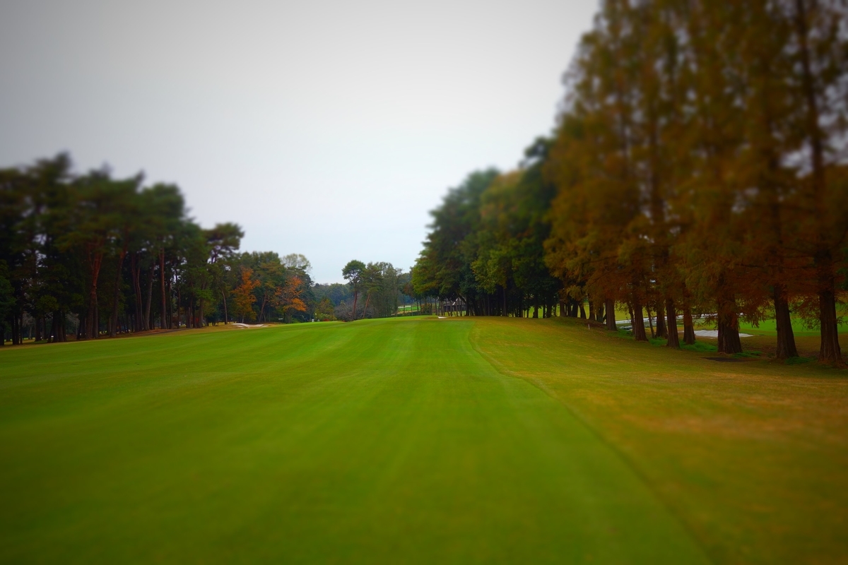 f:id:arashi_golf:20210209213829j:plain