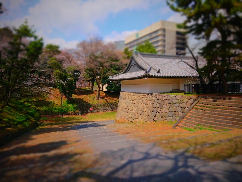 f:id:arashi_golf:20210216204104j:plain